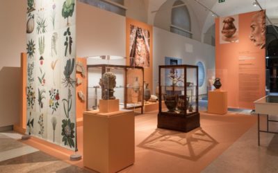 IL FASCINO SEGRETO DEGLI OGGETTI