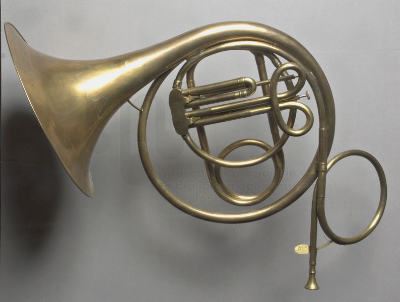 #WUNDERKAMMER IL MUSEO DELLE MERAVIGLIE